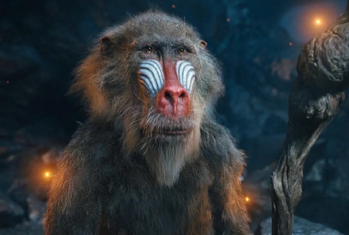 La presencia de Rafiki en la película precuela "Mufasa: El rey león" es muy importante, ya que hace entender muchas cosas de lo que suceden a Mufasa (Foto: Walt Disney Studios Motion Pictures)