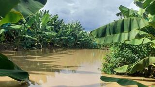 Piura: Defensoría del Pueblo pide evacuar zonas de Paita por el desborde del río Chira