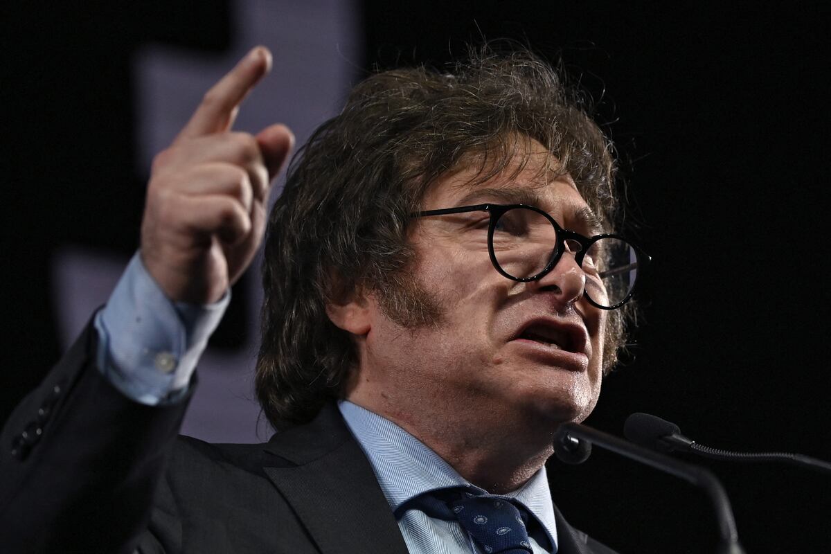 Milei obtuvo el 30% de los votos en una primaria abierta este mes. (Foto por Luis ROBAYO / AFP)