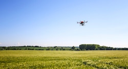 Gigante alemán BASF apuesta por agroindustria en Perú en pleno boom agroexportador