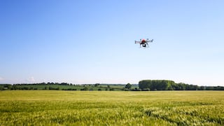 Gigante alemán BASF apuesta por agroindustria en Perú en pleno boom agroexportador