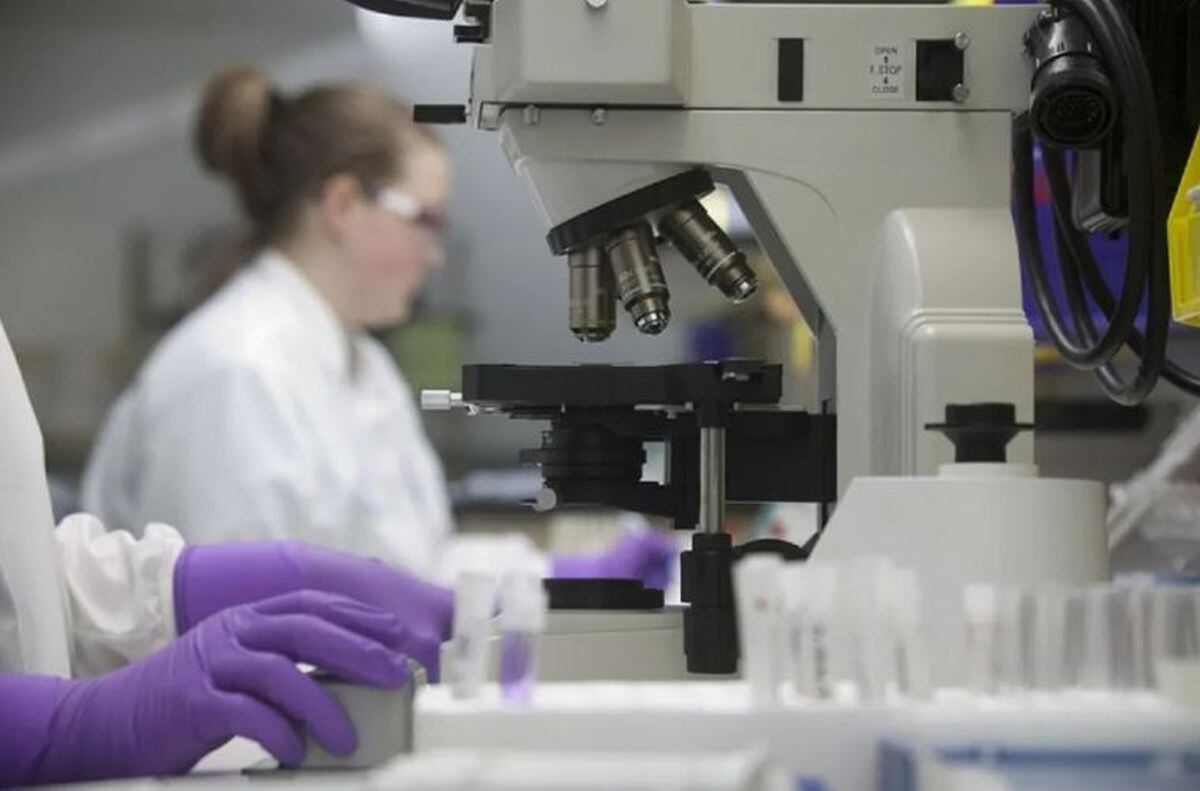 Las enfermedades raras no son tratadas de buena manera en América del Sur / Foto: EFE