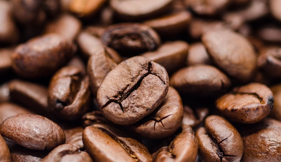 El café extraído de los excrementos de estas aves representa menos del 2% de la producción de la finca. (Referencial - Pixabay)