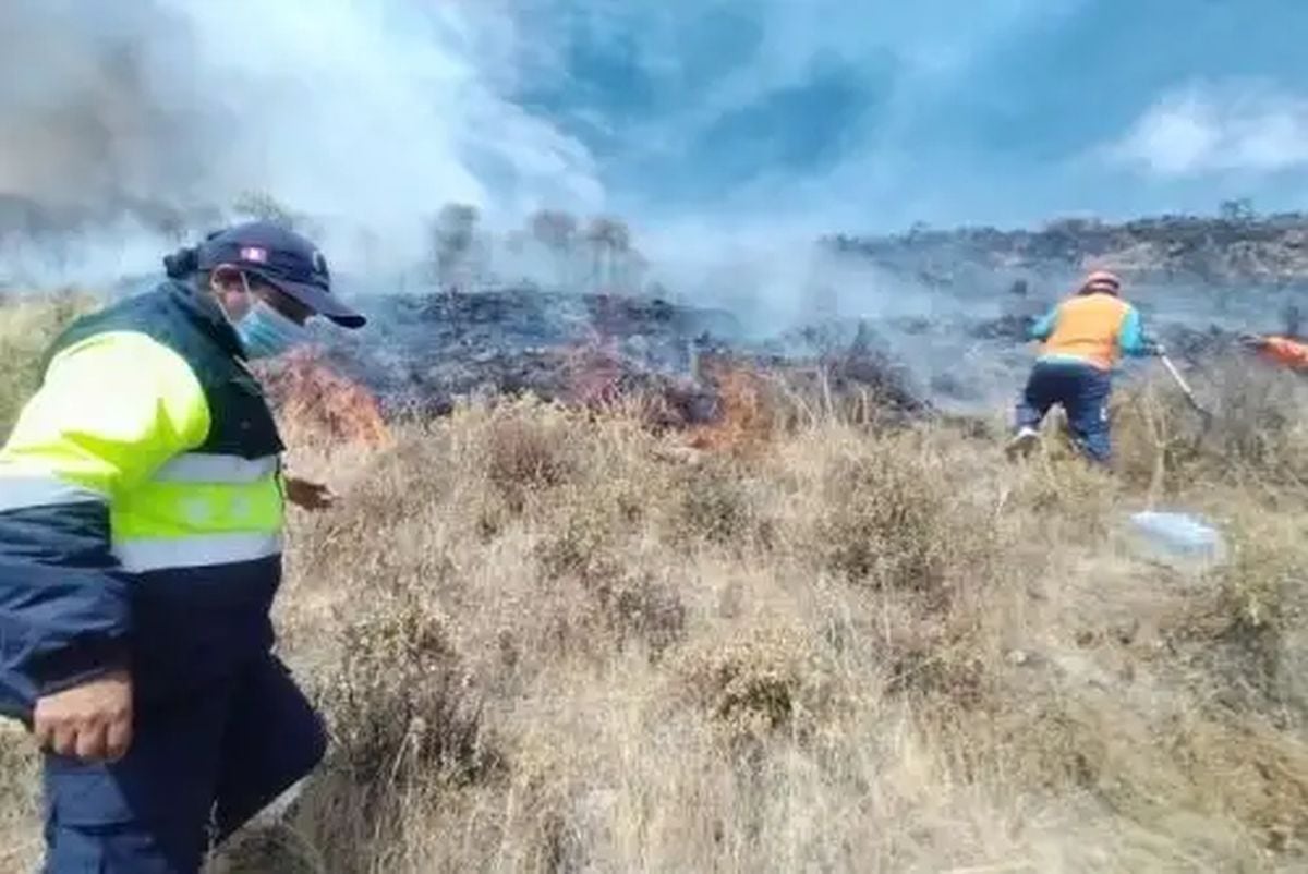 Incendios forestales: Dos siniestros en Cusco siguen activos y región reporta 289 casos este año