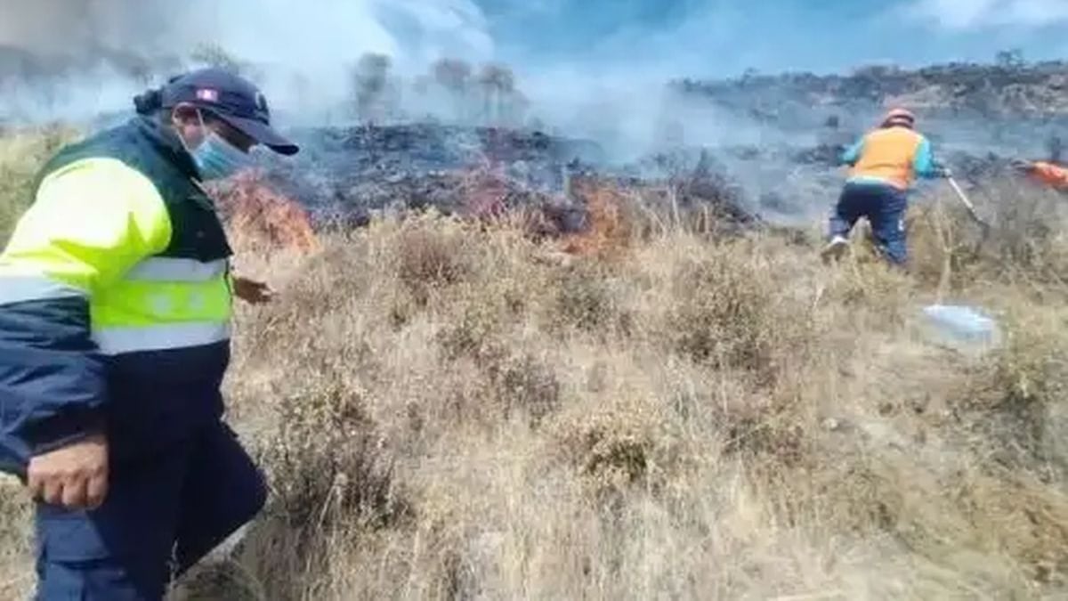 Incendios forestales: Dos siniestros en Cusco siguen activos y región reporta 289 casos este año