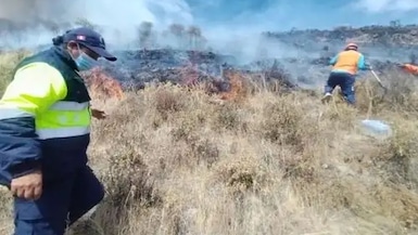 las brigadas lograron controlar el fuego en el Fundo El Huambo, según el último reporte oficial del COER Arequipa. Foto: Andina
