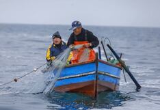 Otorgan más de S/ 15 millones para impulsar pesca artesanal y acuicultura