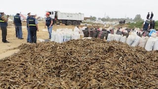 Produce incauta 91.5 toneladas de pescado que eran secados a la intemperie en Pisco