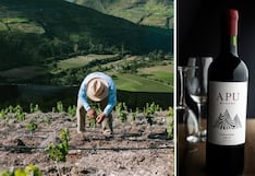 Cusco y Apurímac en el nuevo mapa del vino peruano: resultados de la vida de altura