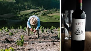 Cusco y Apurímac: el nuevo mapa del vino peruano