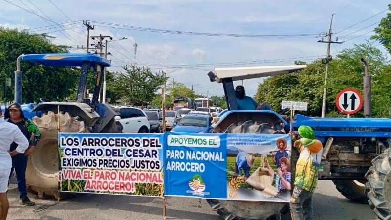 Productores arroceros alistan paro indefinido desde este 25 de mayo