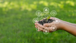 Gobierno sigue hoja de ruta en finanzas verdes