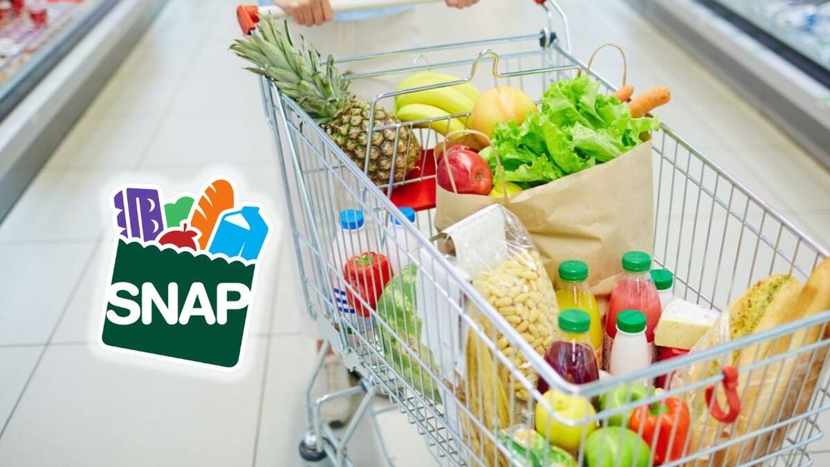 SNAP Florida octubre 2026: consulta qué día llegará tu pago según tu número de caso