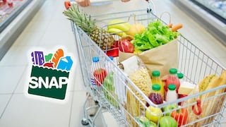 SNAP Florida octubre 2026: consulta qué día llegará tu pago según tu número de caso