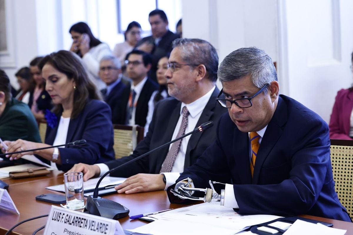 El presidente del Consejo de Ministros, Luis Galarreta, participó en la sesión en la que se evaluó el pedido de facultades legislativas del Gobierno. Foto: Congreso.