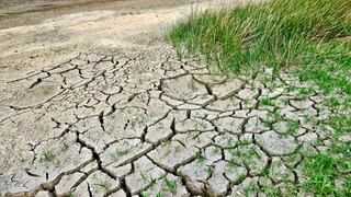La mitad de la población mundial ya sufre los efectos de la desertificación