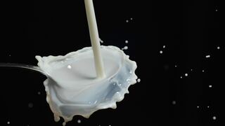 Gobierno aprueba que la leche evaporada se elabore solo con leche fresca 