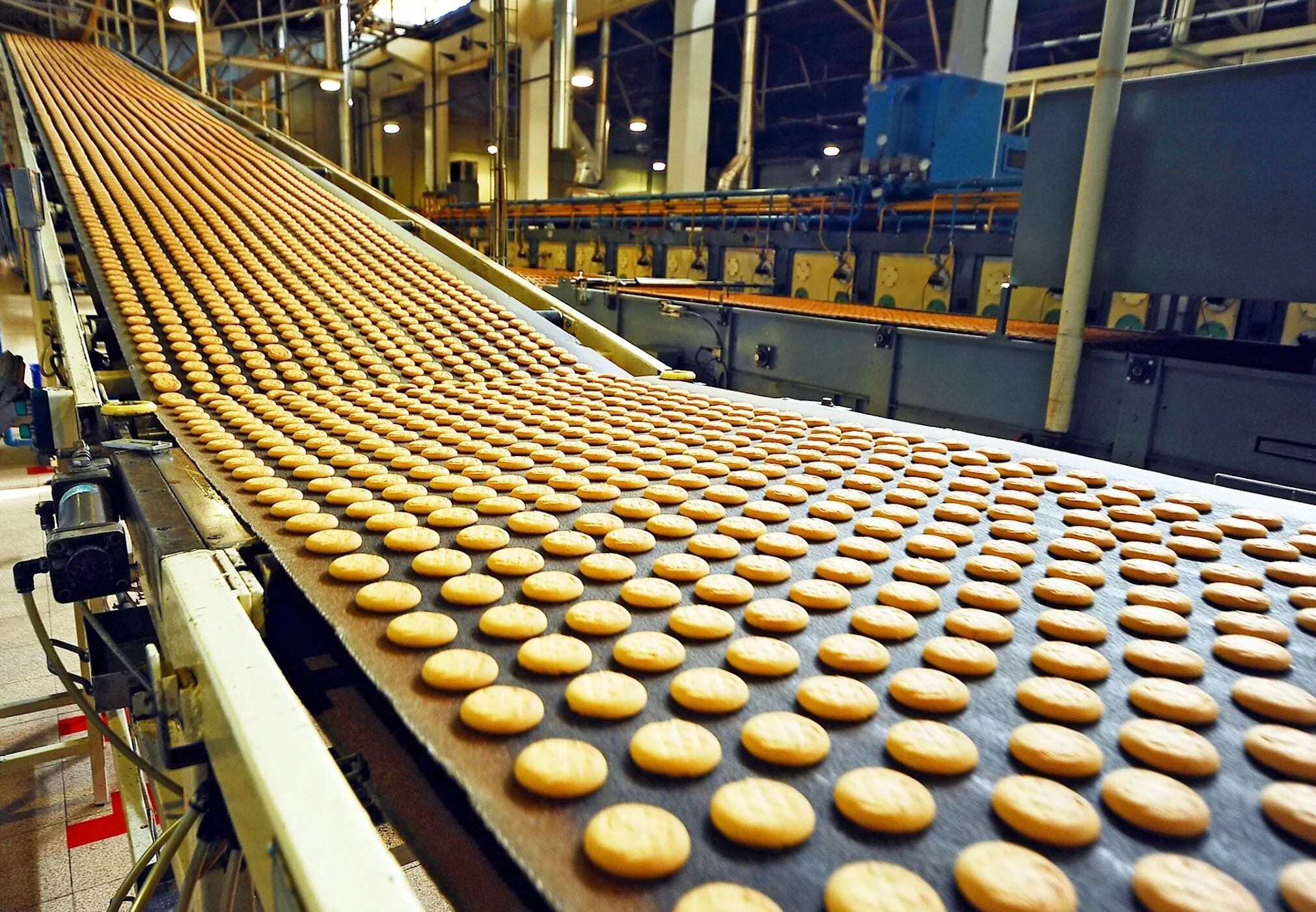 Agroindustrias Muga presentó propuesta de planta de galletas al Produce, con el fin de recibir comentarios y/o sugerencias de la ciudadanía hasta el 1 de enero de 2025. (Foto: referencial).