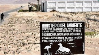 No se levantarán edificaciones en la Reserva de Paracas sin autorización del Sernanp