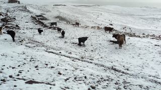 La Libertad: granizada afecta a 500 familias y 1,000 hectáreas de cultivo en Huancaspata