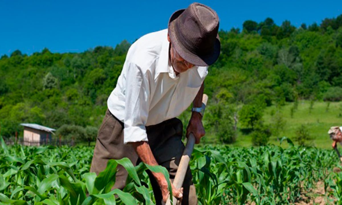 Bono Agrario. (Foto: Difusión)
