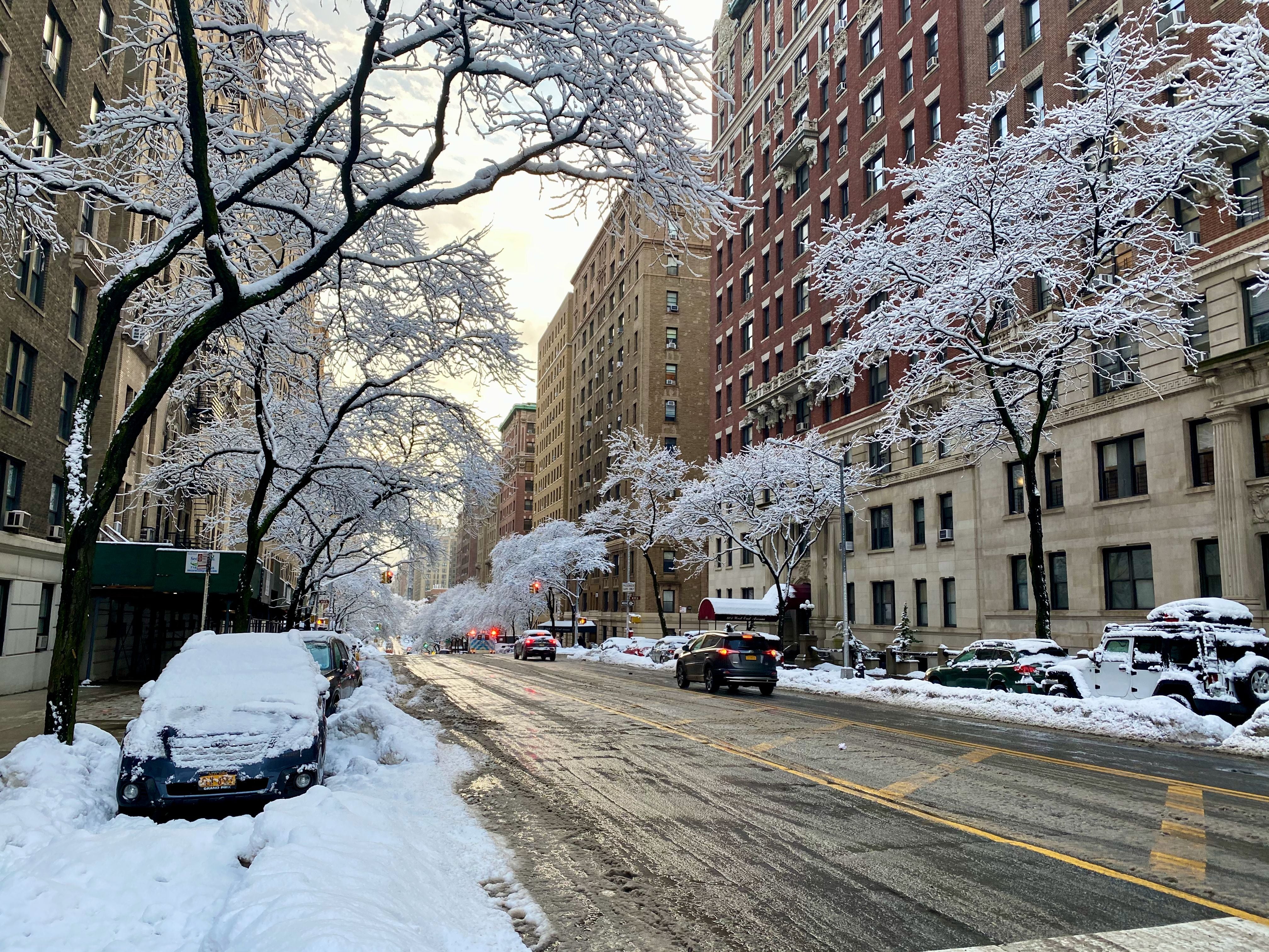 Según las proyecciones de Farmer's Almanac, la ciudad de Nueva York recibirá sus primeras nevadas en los primeros días de diciembre. (Crédito: Pexels / Imagen referencial)