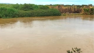 Río Tumbes: Más de 3,000 hectáreas de plátano y arroz inundadas
