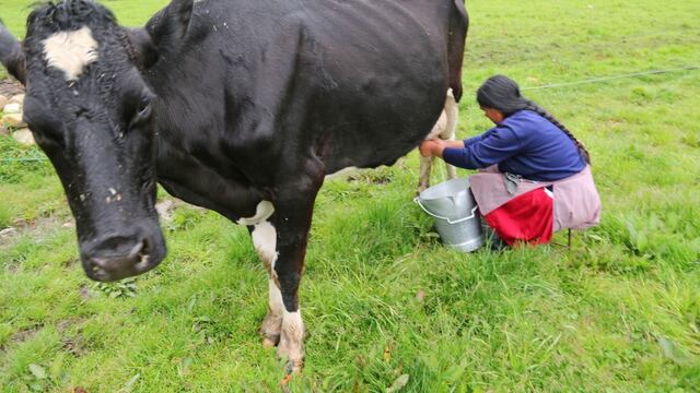 Programa Vaso de Leche podrá incluir uso de  leche fresca en sus raciones