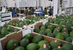 Premium Choice Global fortalece exportación de fruta de Perú con oficinas en Asia y Europa