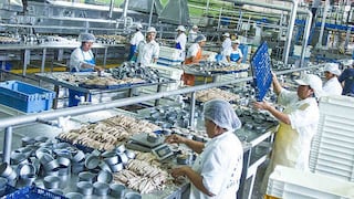 Produce: Envíos de harina de pescado crecieron más de 600%