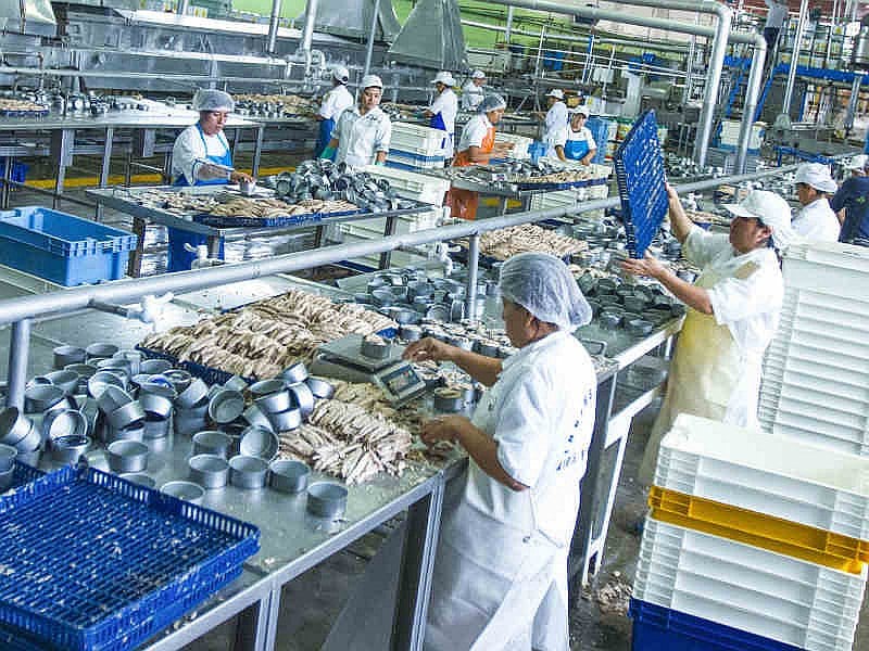 exportación de congelados en sector pesca creció 238% en abril