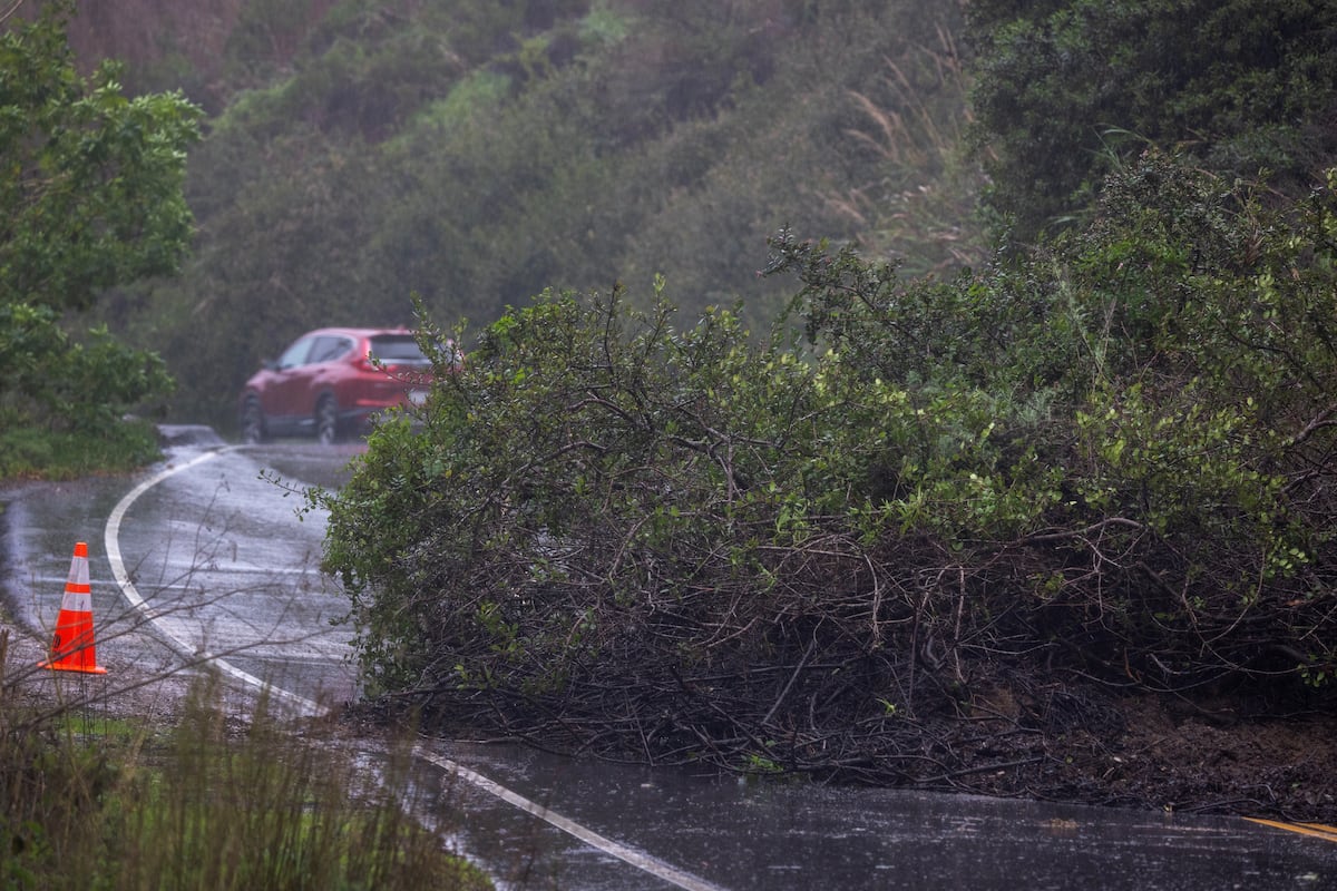 En California, han caído árboles en las carreteras por las consecuencias de la tormental invernal en febrero de 2024 (Foto: AFP)
