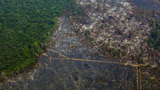 Brasil deforestó 1,574 km2 en la Amazonía en julio, más que en junio