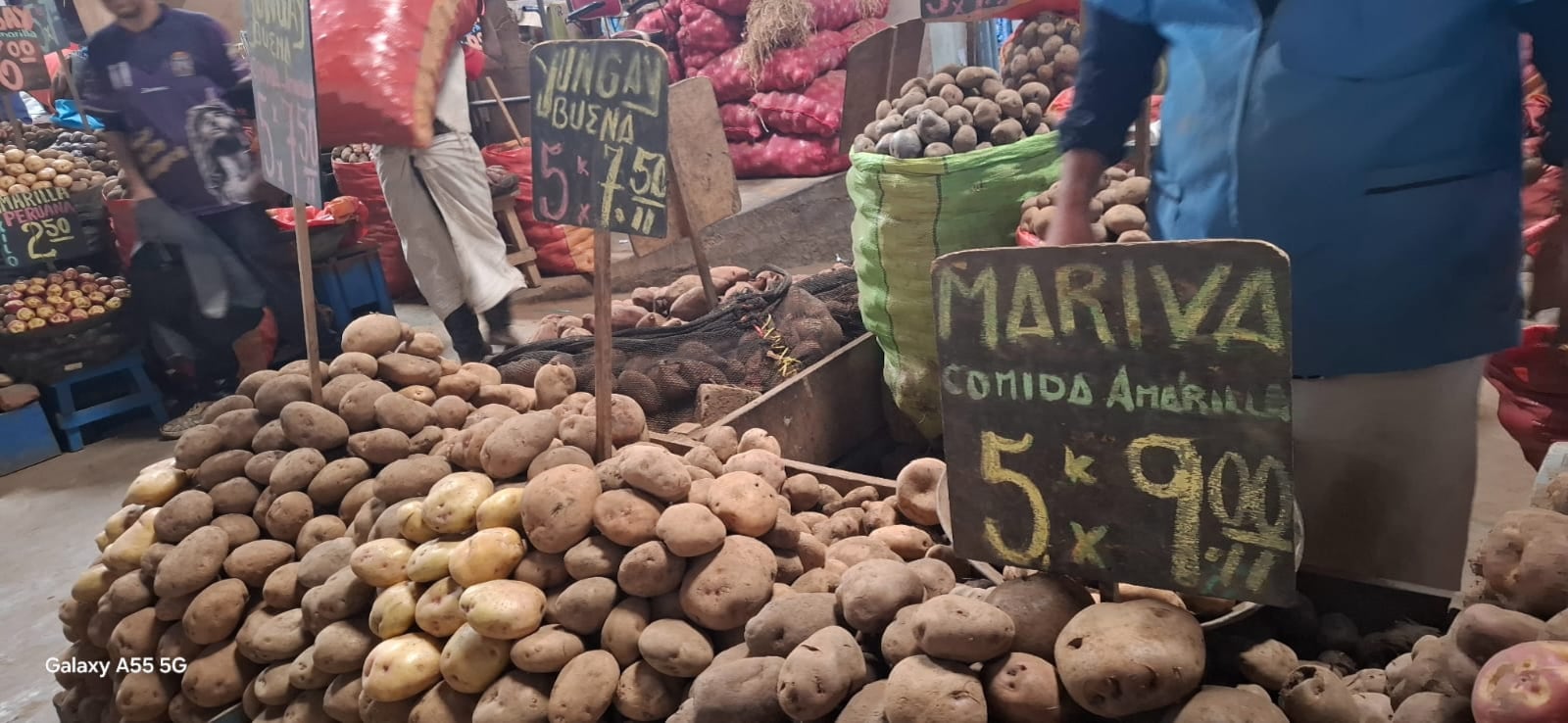 Algunas variedades de papa se incrementaron en 30% en el gran mercado mayorista de Lima