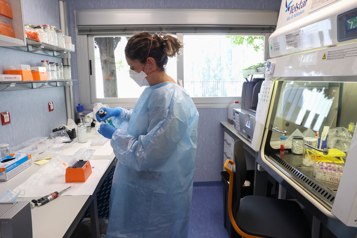 La semana pasada, las autoridades sanitarias anunciaron que más de un millón de vacunas contra la enfermedad serían puestas a disposición de los estados en los próximos días, de las cuales ya se han entregado 600,000. EFE/Kiko Huesca