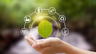 Negocios sostenibles: una guía útil para transformar tu empresa