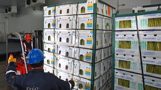 Agroexportaciones rozan los US$ 7,000 millones: ¿qué productos empujan el avance?