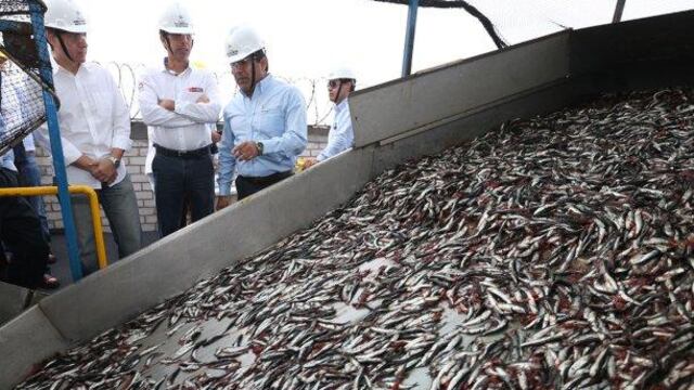 Fargoline de Ferreycorp ve mayor demanda por sector pesquero