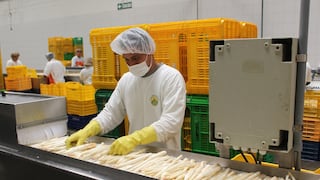 Empresas peruanas exportadoras no dejan de crecer: los sectores con mayor peso en los envíos