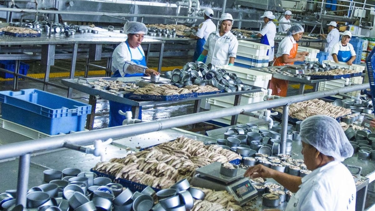 Economía peruana se desaceleró en junio por segundo mes consecutivo, reportó el INEI