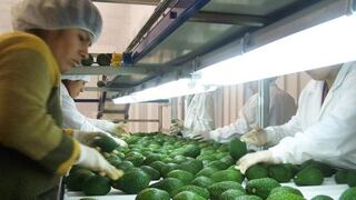 Agroexportaciones de Perú superarán a las de Chile