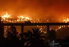 Incendios forestales enlutecen Chile: 21 fallecidos y más de 40,000 hectáreas devastadas