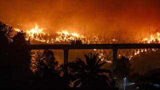 Incendios forestales enlutecen Chile: 21 fallecidos y más de 40,000 hectáreas devastadas