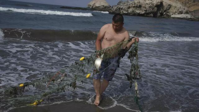 Afectados por derrame petrolero sobreviven comiendo peces de zona donde cayó el crudo 