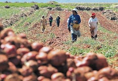Agro en Perú “temblaría” más allá del verano 2027 por El Niño: esto alerta el Midagri