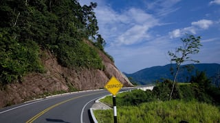 Eje multimodal Amazonas: así se optimizaría corredor para mayor comercio con Brasil