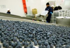 Beta en azul pese a difícil contexto para la agroexportación, las claves del crecimiento