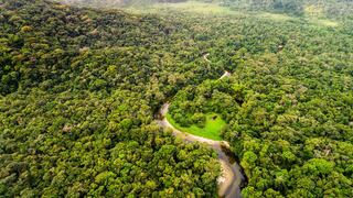 Colombia asegura que Sudamérica busca una nueva relación con la Amazonía 