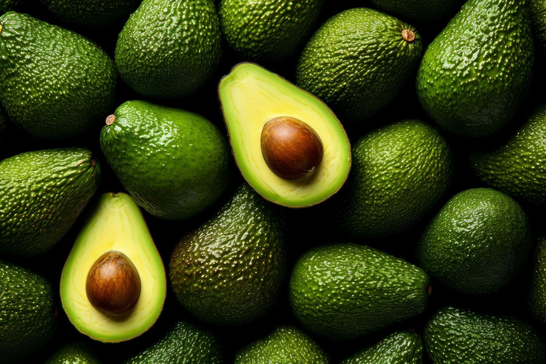 Pese a la caída en el volumen exportado, los envíos de palta alcanzaron mayores ingresos, reportó Fresh Fruit. Durante el último año Europa se mantuvo como el principal destino.