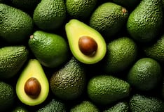 Exportación de palta fresca cerró el 2024 al alza por mayores precios